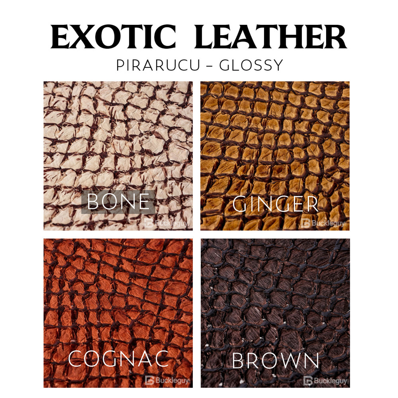 Buying Pirarucu Skin? Find Best Sources & Quality Guide Here!