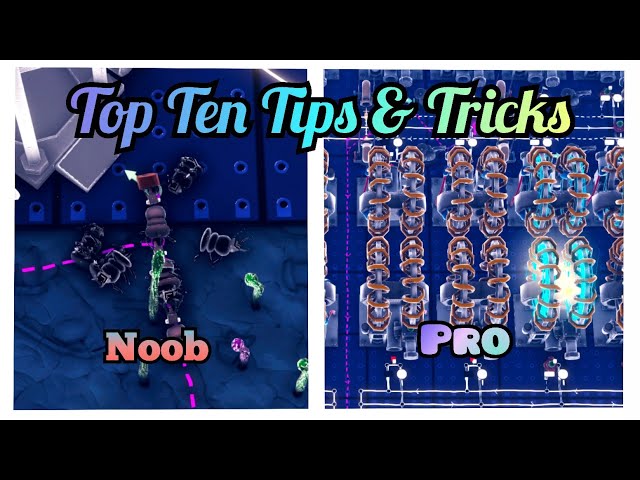 Minitopia Guide: Tips and Tricks for Beginners to play