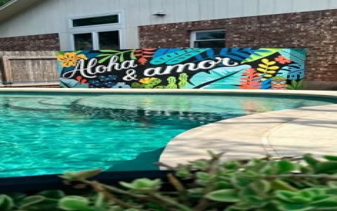 Affordable swimming pool murals ideas get cheap great looks for your pool