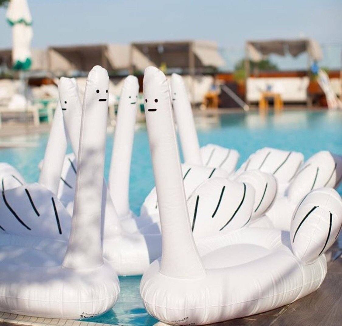 Inflatable ridiculous swan thing for the beach good idea? Yes, use these tips for safe ocean floating!