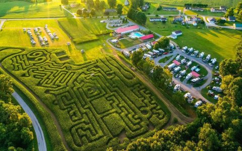 Is Maze B.I.G Right for You? Find Out Now with Our Guide