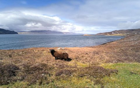 Black Shed Isle of Skye: Find Best Accommodation Tips