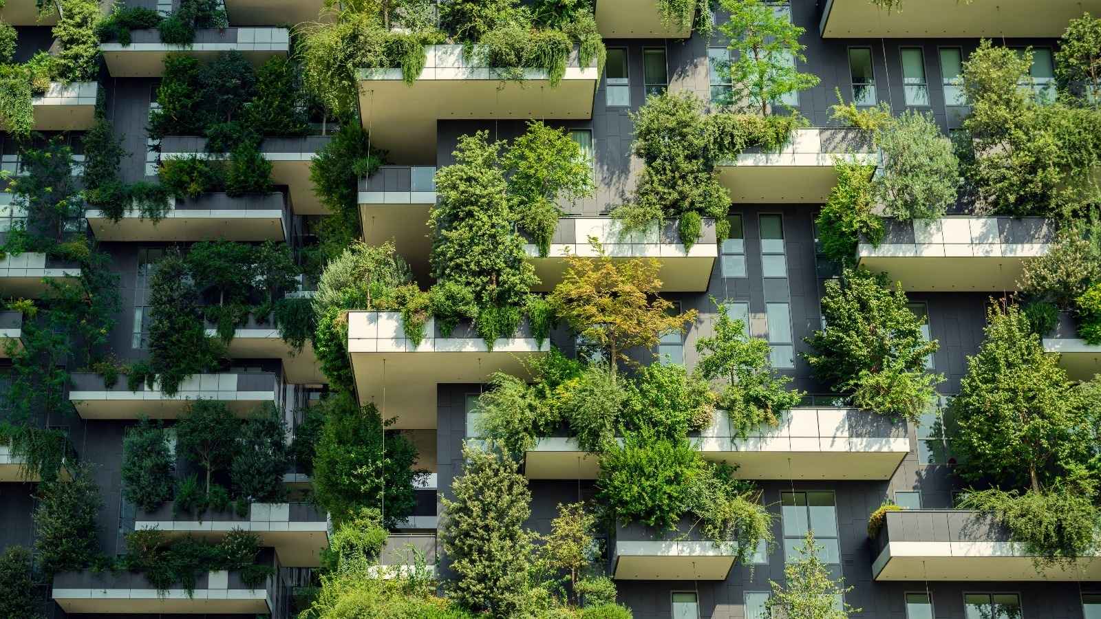Why choose bio based concrete? Discover its top advantages for eco friendly building projects.