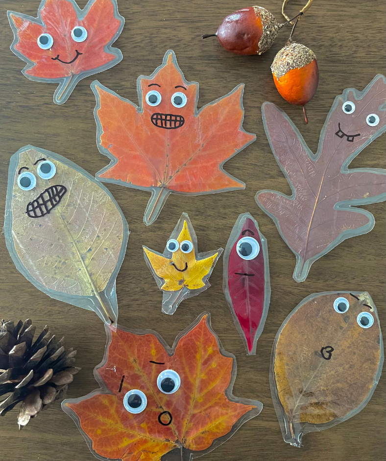 Make your own leaf magnet? Simple guide using recycled materials!