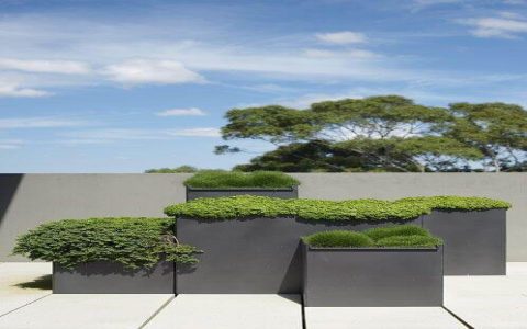 What is Planter Box Architecture | Simple Ideas for Outdoor Beauty