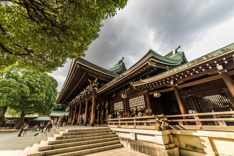 What makes Jingu-dori a must see? (Find out why everyone loves visiting Jingu-dori in Tokyo)