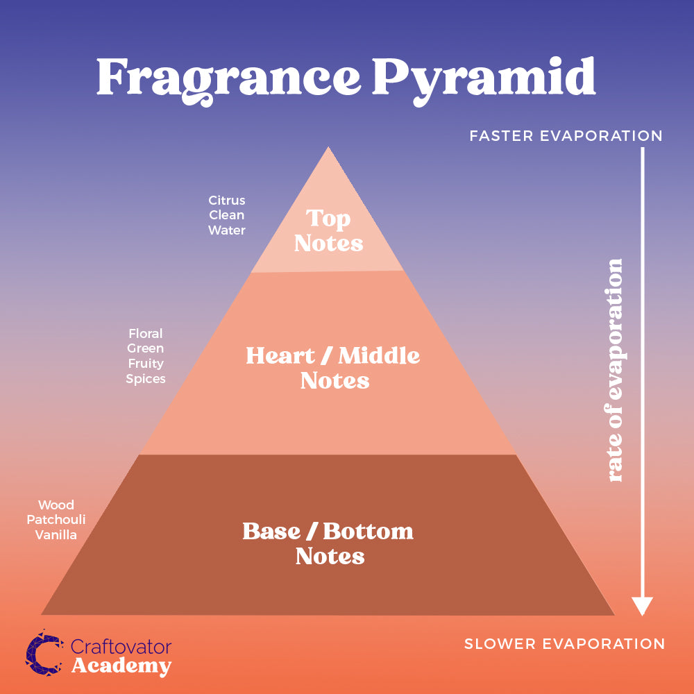 How is perfume architecture explained simply? (Discover the top, middle, and base notes in fragrances)