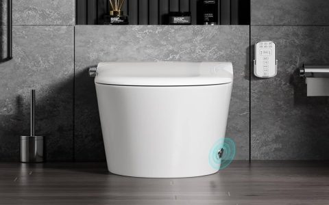 Kohler orange toilet: How to choose the right one? (Follow these simple tips for your bathroom upgrade)