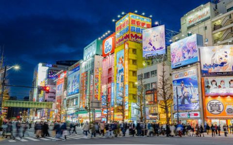 What makes Jingu-dori a must see? (Find out why everyone loves visiting Jingu-dori in Tokyo)