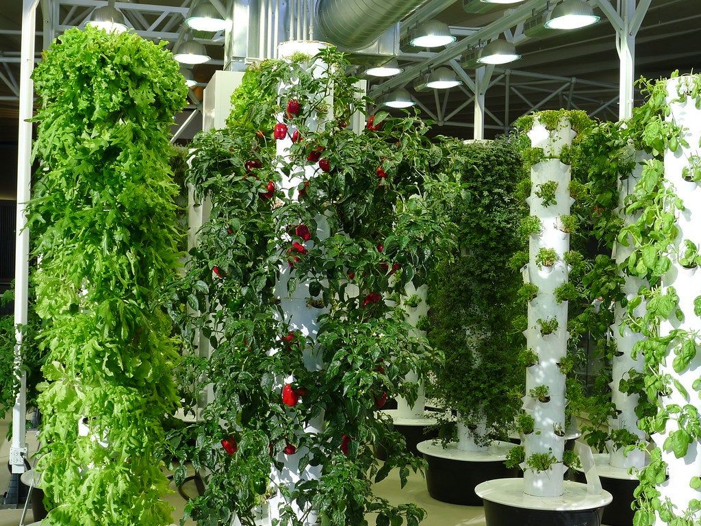 Easy farm tower ideas for beginners (Start your own cool vertical garden today simply)