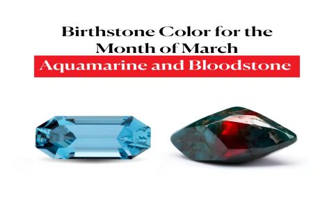 What makes these oceanic stones so very special? Explore their unique origins and many cool features.