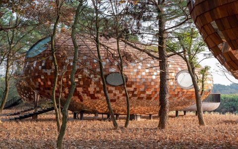 What services do cabin architects offer? (Top 5 things they design for you)