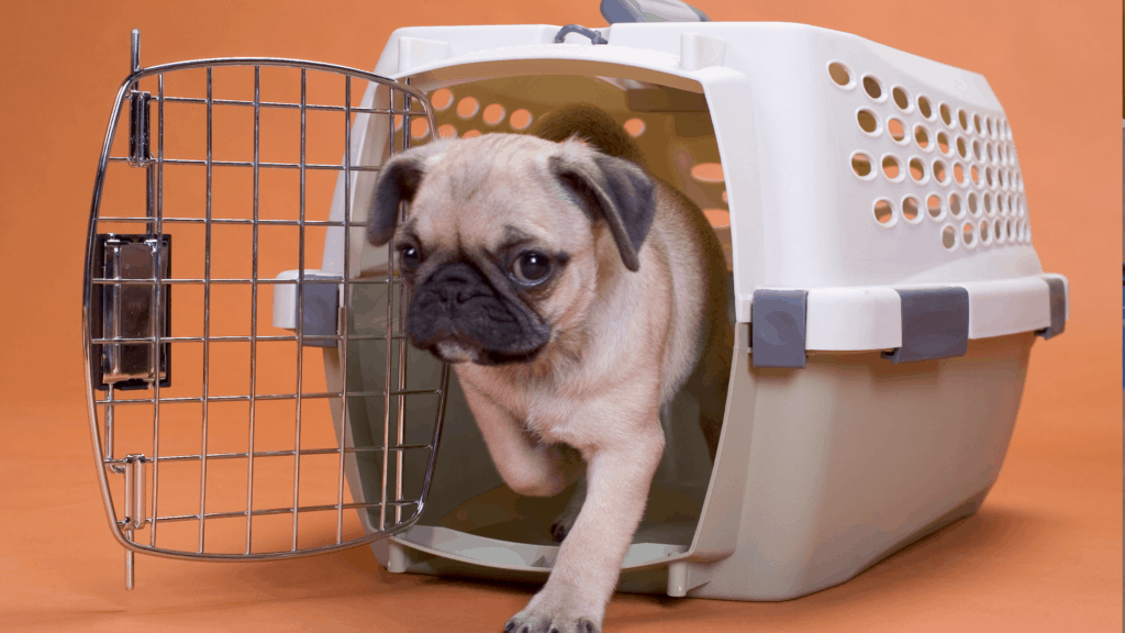 Why use a soundproof dog cage (Stop barking and improve your peace)