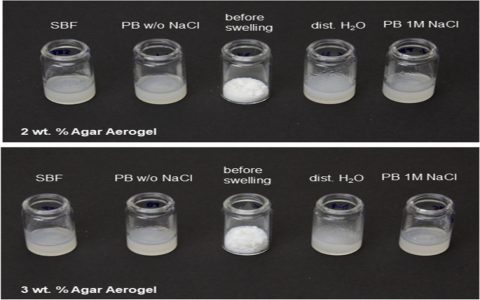 Aerogel bag vs regular bag learn the big difference explained!