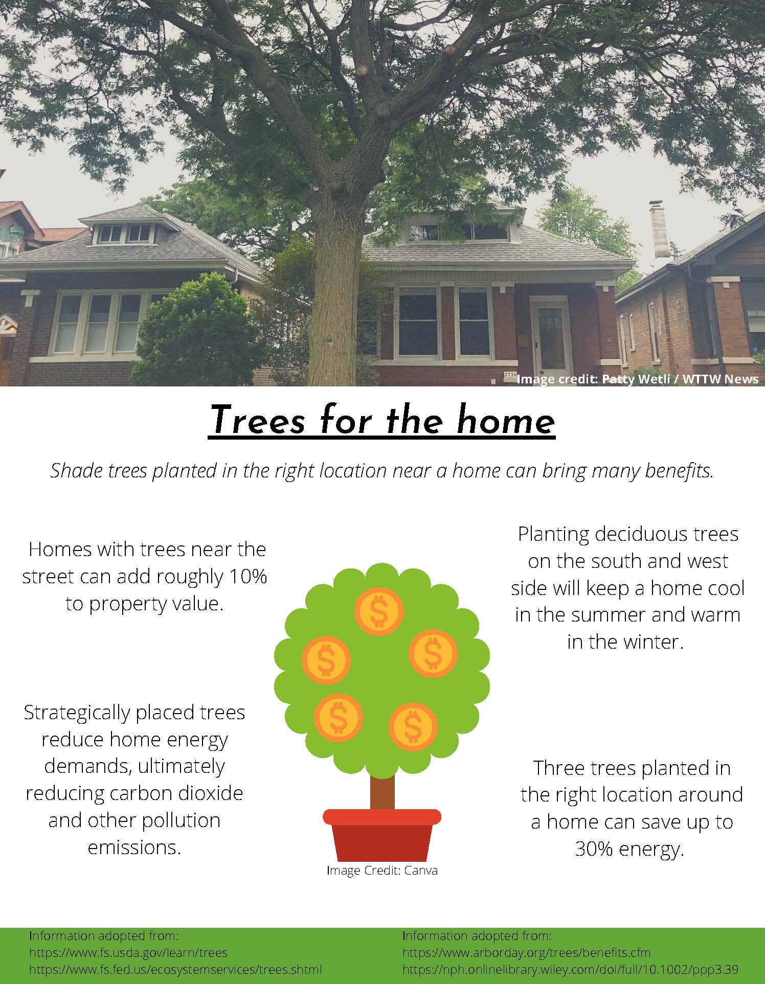 What is tree in house? (find out benefits and easy tips)
