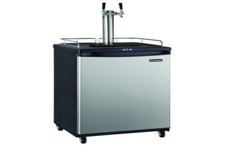 Where to Buy stella kegerator (Affordable Deals and Tips)