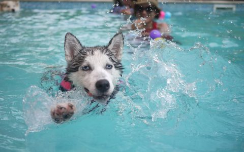 How to enjoy pool and sky? Easy relaxation tips for summer fun.