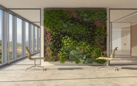 Indoor vs Outdoor Living Wall Frame Designs Which is Better