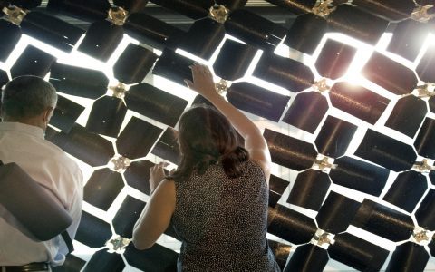 Where to Find Natural Pavilion Materials? Best Eco-Friendly Options for Your Build