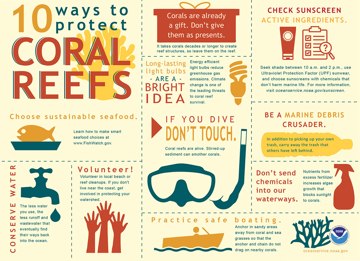 Best living coral care ideas? 5 easy ways to protect coral reefs today!