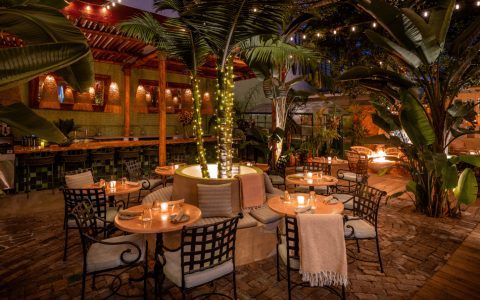 What Is Zizou Los Angeles? Know Before You Book Your Table