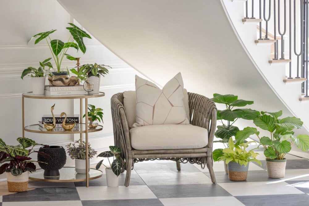 Garden & House how to decorate? Best ideas for plants and furniture