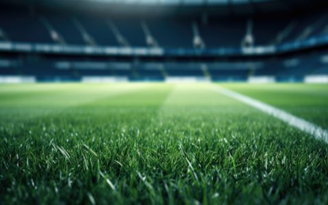 What are benefits of building stadiums? (Boosts community and economy fast)