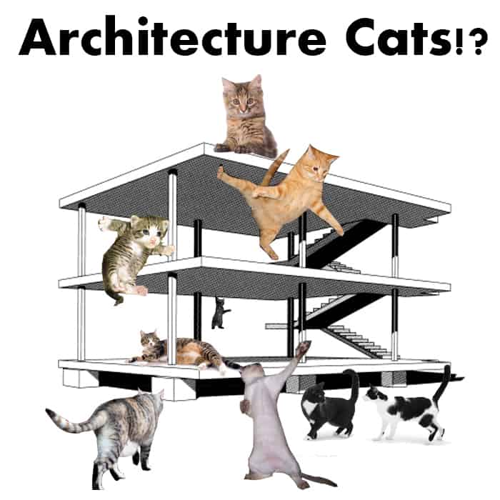 why cat architecture is rising now and how to start