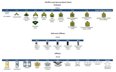 How to Spot New U.S. Army Logo? Quick Guide for Recognition!