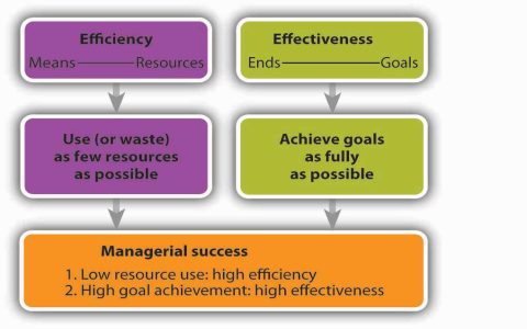 How to use Deseen effectively? Follow these 5 steps for best results!