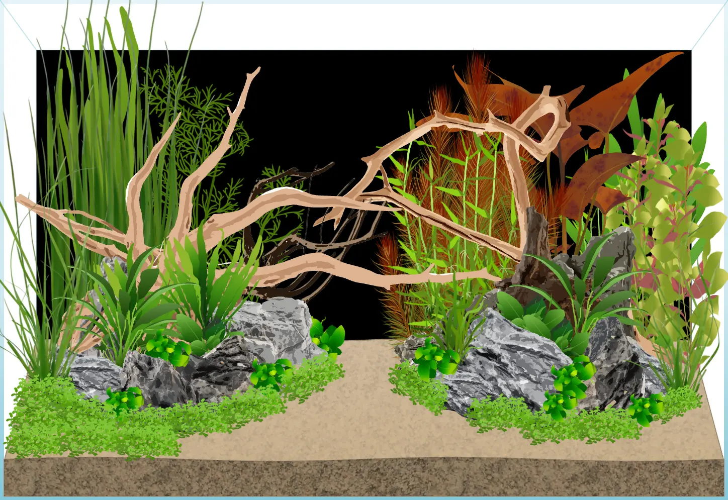 Learn Basic Aquarium Architecture Skills Needed for Big Projects Easily