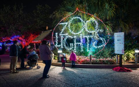 Big Houston Events This Week: Dont Miss These Cool Shows