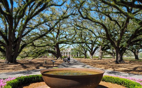 Piazza d Italia New Orleans vs French Quarter What You Must See!