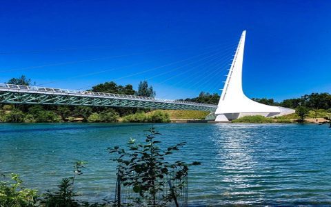 Why Bridges Restaurant is famous in California reasons to go now!