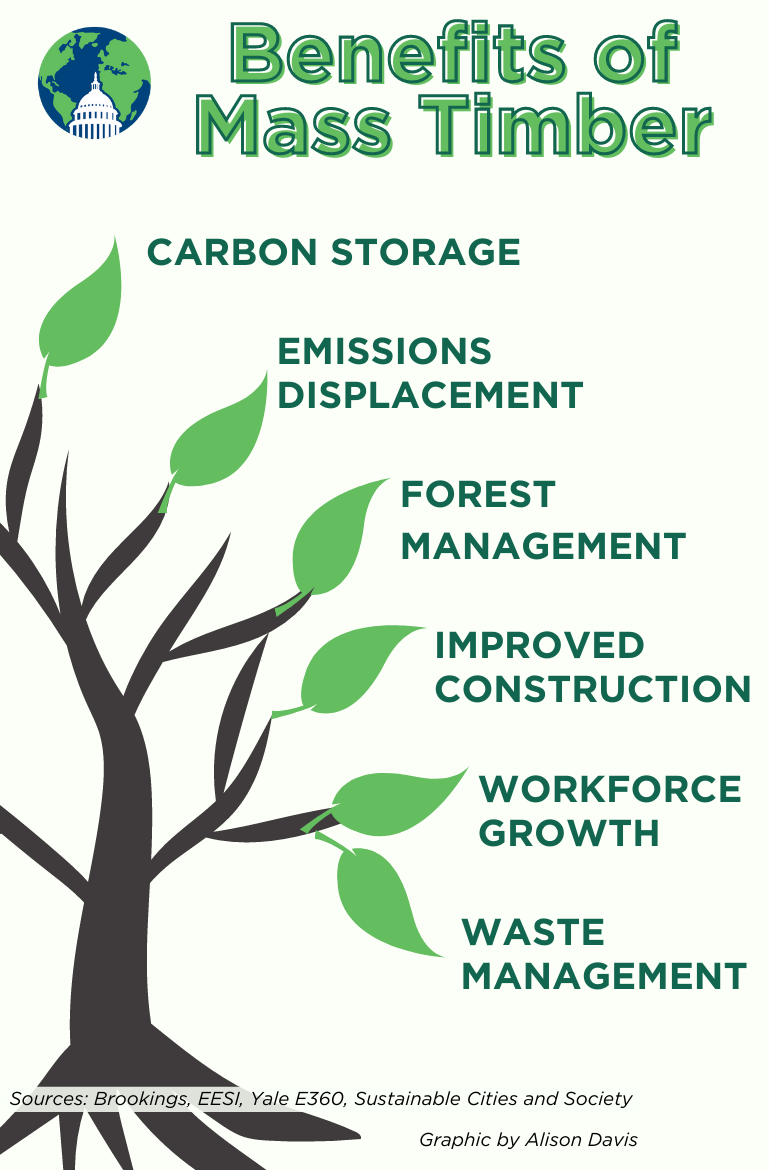 Wood Architecture Benefits Top 5 Reasons Why Timber Buildings Rule