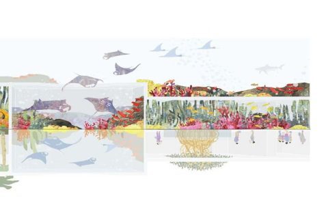 Why Tatiana Bilbao collages are important in architecture? Simple reasons explained.