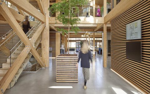 Wood Architecture Benefits Top 5 Reasons Why Timber Buildings Rule