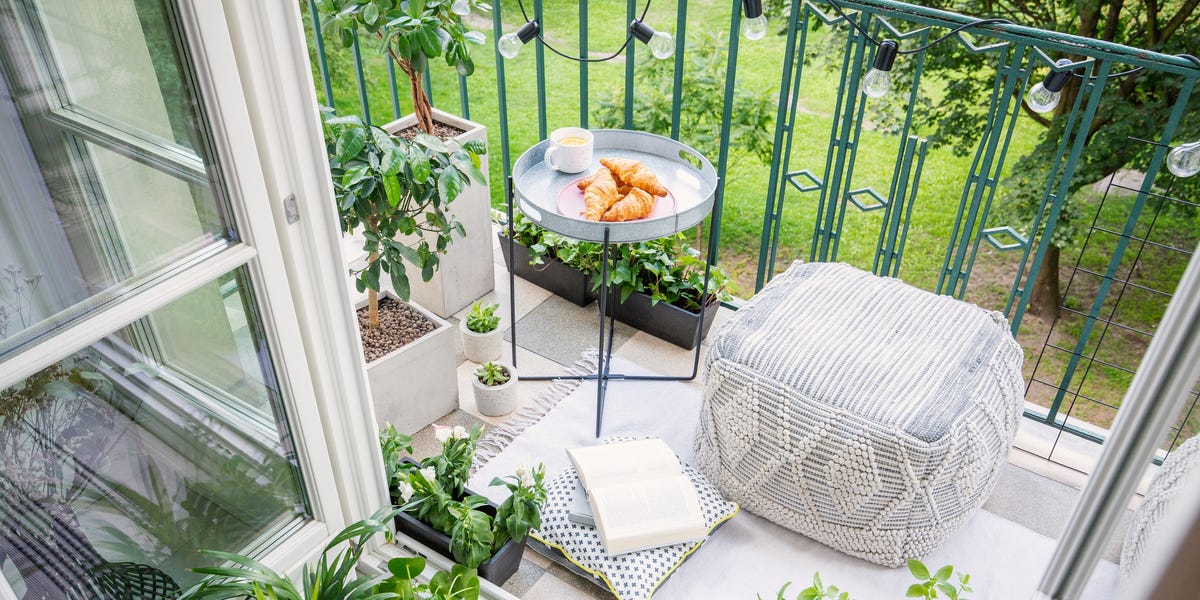 Best Plants For House Greenery On Balcony Sunny and Shady Options Revealed