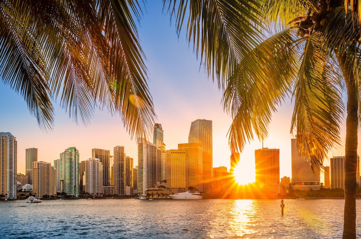 Plan Your Miami Skyline 2024 Trip Simple 7 Day Guide
