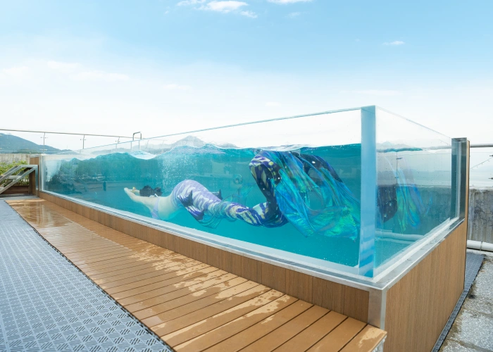 Building a Glass Bottom Pool Your Easy Guide to Costs and Design