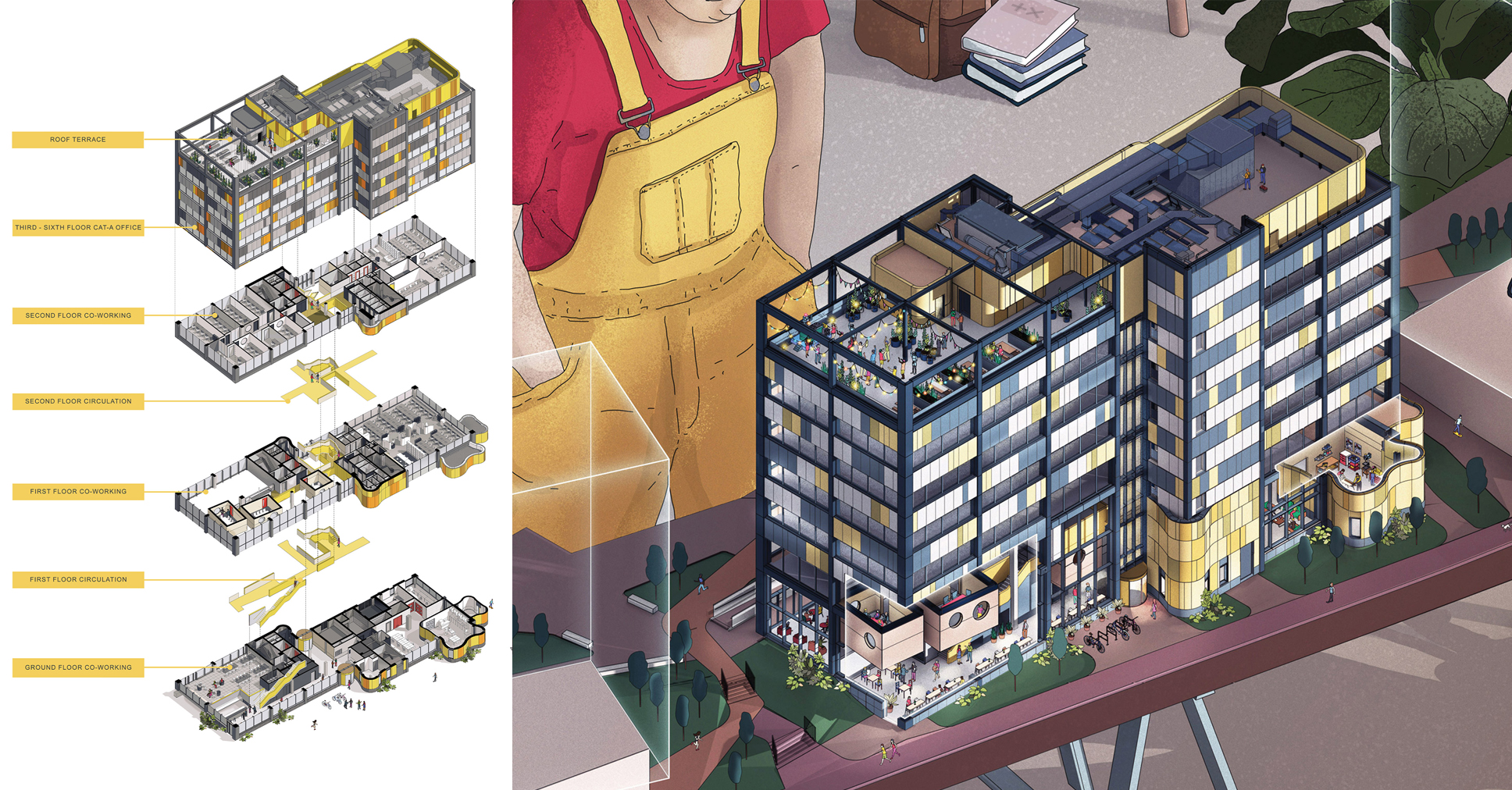 Architecture Office Building Beginner Guide Planning Your Project