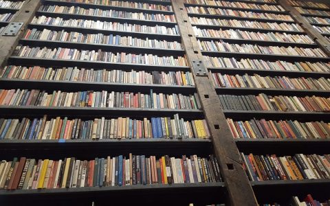 Exhibits at Stony Island Arts Bank Chicago! (Must see art now!)