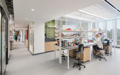 Lab Architecture Layout Planning: How to Build Efficient Science Spaces